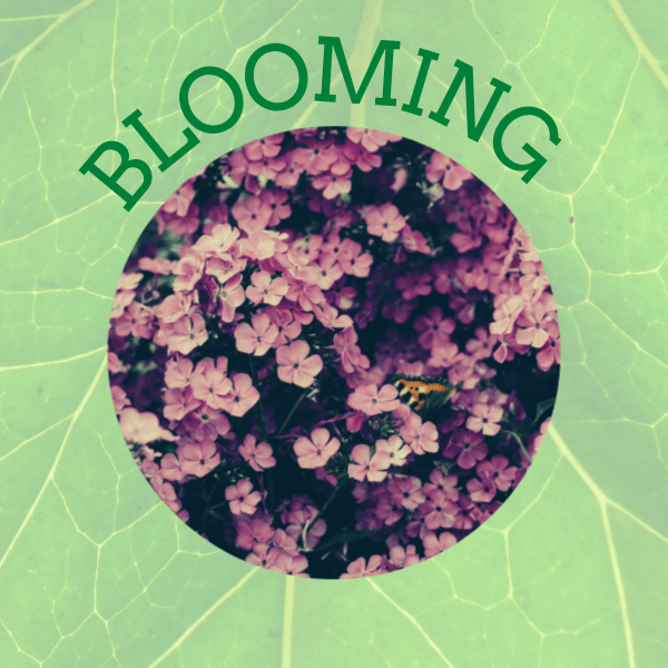 This image has an empty alt attribute; its file name is 4-1.png