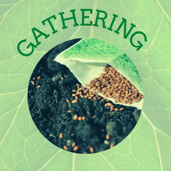 This image has an empty alt attribute; its file name is 2-1.png